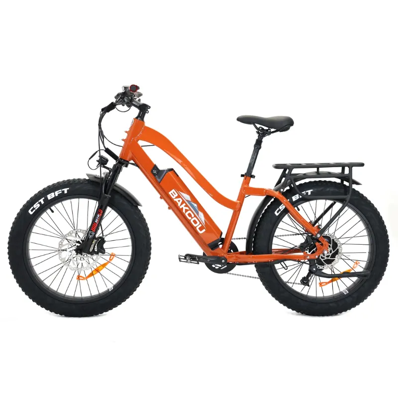 Bakcou Flatlander Step-Through (ST) 24" Electric Bike, 48V 750W