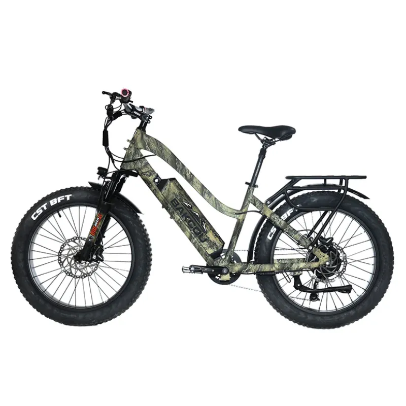 Bakcou Flatlander Step-Through (ST) 24" Electric Bike, 48V 750W