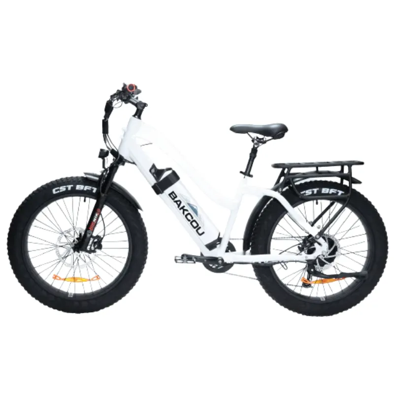 Bakcou Flatlander Step-Through (ST) 24" Electric Bike, 48V 750W