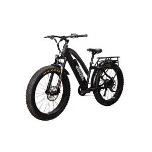 Bakcou Flatlander Step-Through (ST) 24" Electric Bike, 48V 750W