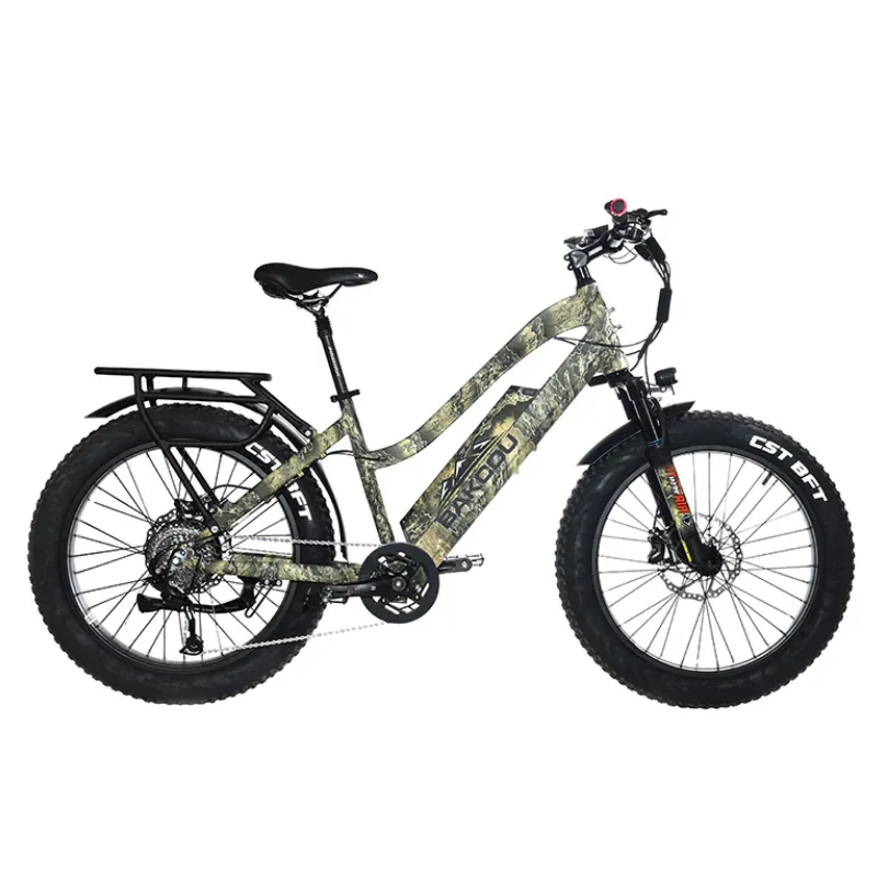 Bakcou Flatlander Step-Through (ST) 24" Electric Bike, 48V 750W