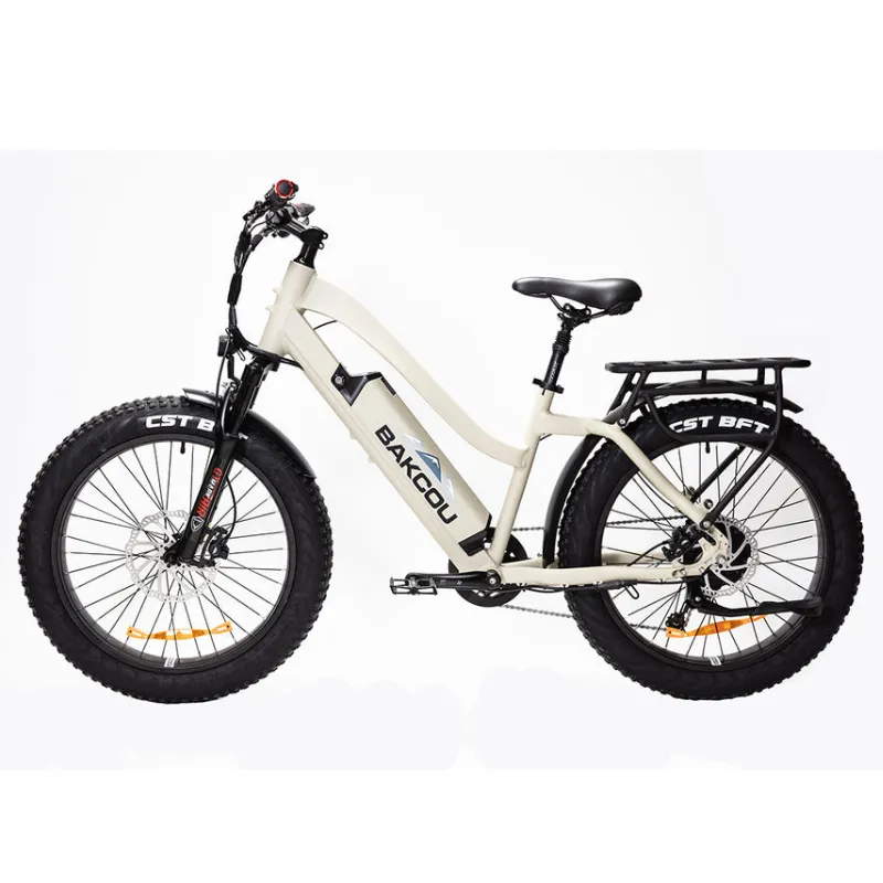 Bakcou Flatlander Step-Through (ST) 24" Electric Bike, 48V 750W