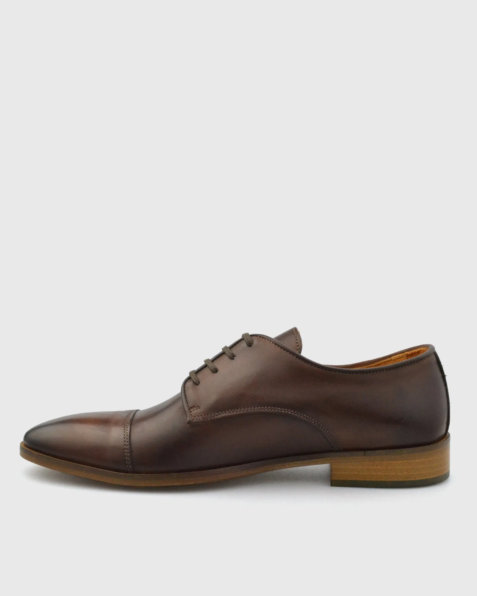 IMASCHI W233371 DERBY LACE T-C BROWN SHOE